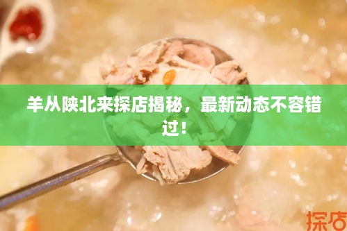 羊從陜北來探店揭秘，最新動態(tài)不容錯過！