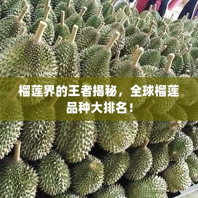 榴蓮界的王者揭秘，全球榴蓮品種大排名！