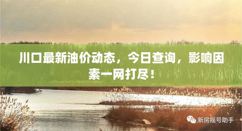 川口最新油價(jià)動(dòng)態(tài)，今日查詢，影響因素一網(wǎng)打盡！