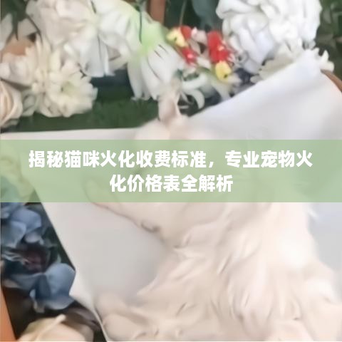 揭秘貓咪火化收費(fèi)標(biāo)準(zhǔn)，專業(yè)寵物火化價(jià)格表全解析