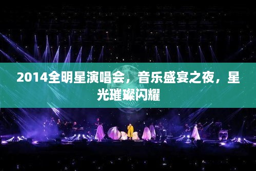 2014全明星演唱會，音樂盛宴之夜，星光璀璨閃耀