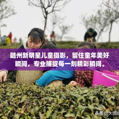 隨州新明星兒童攝影，留住童年美好瞬間，專業(yè)捕捉每一刻精彩瞬間。