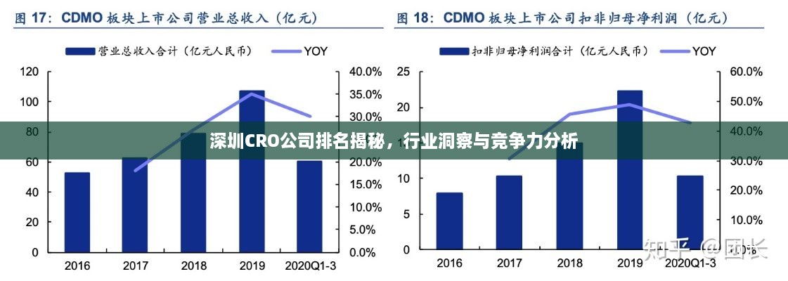深圳CRO公司排名揭秘，行業(yè)洞察與競(jìng)爭(zhēng)力分析