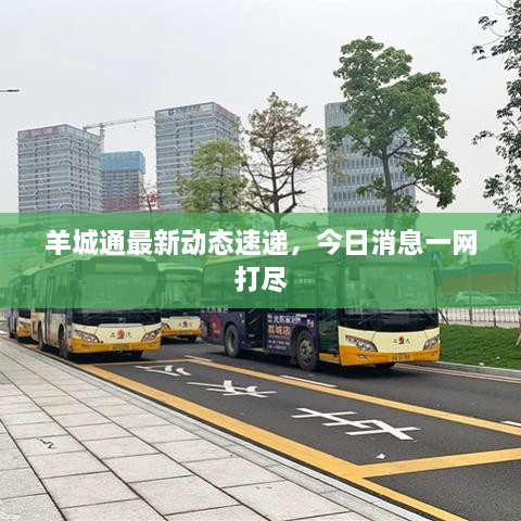 羊城通最新動(dòng)態(tài)速遞，今日消息一網(wǎng)打盡
