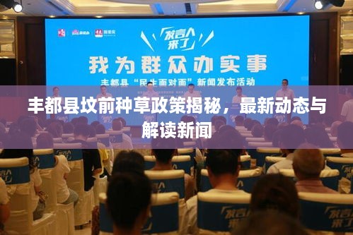 豐都縣墳前種草政策揭秘，最新動(dòng)態(tài)與解讀新聞