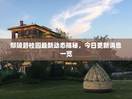 鄢陵碧桂園最新動(dòng)態(tài)揭秘，今日更新消息一覽