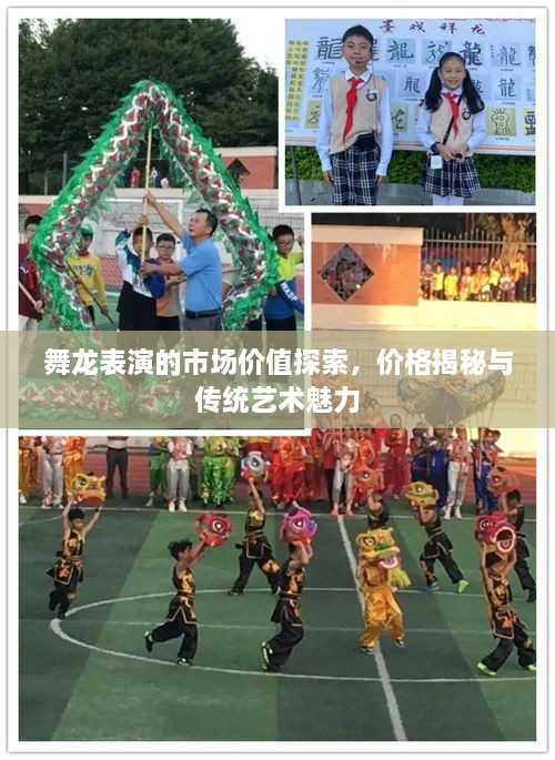 舞龍表演的市場價值探索，價格揭秘與傳統(tǒng)藝術(shù)魅力