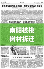 南陽核桃樹村拆遷重磅更新，最新動(dòng)態(tài)揭秘！