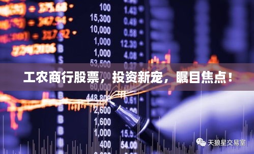 工農(nóng)商行股票，投資新寵，矚目焦點(diǎn)！