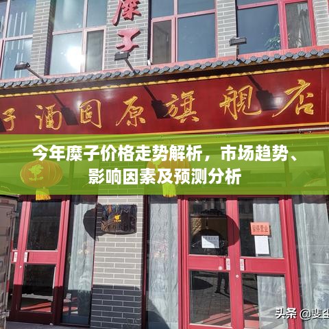 今年糜子價(jià)格走勢解析，市場趨勢、影響因素及預(yù)測分析