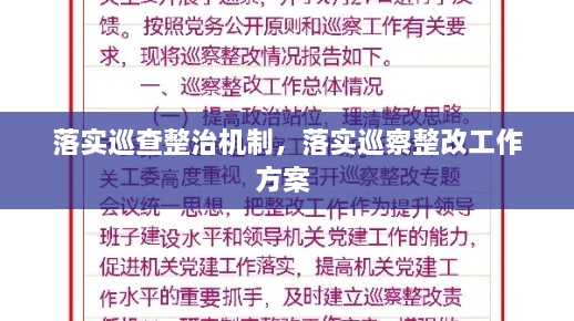 落實(shí)巡查整治機(jī)制，落實(shí)巡察整改工作方案 