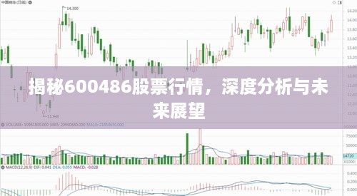 揭秘600486股票行情，深度分析與未來展望