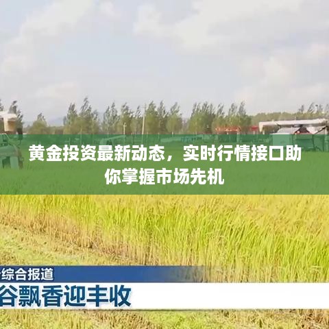 黃金投資最新動(dòng)態(tài)，實(shí)時(shí)行情接口助你掌握市場(chǎng)先機(jī)