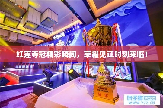 紅蓮奪冠精彩瞬間，榮耀見證時刻來臨！