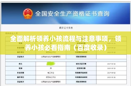 全面解析領(lǐng)養(yǎng)小孩流程與注意事項(xiàng)，領(lǐng)養(yǎng)小孩必看指南（百度收錄）