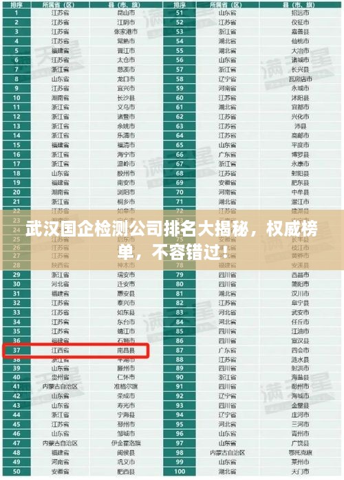 武漢國企檢測公司排名大揭秘，權(quán)威榜單，不容錯(cuò)過！