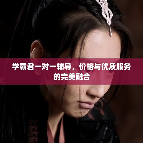 學(xué)霸君一對(duì)一輔導(dǎo)，價(jià)格與優(yōu)質(zhì)服務(wù)的完美融合