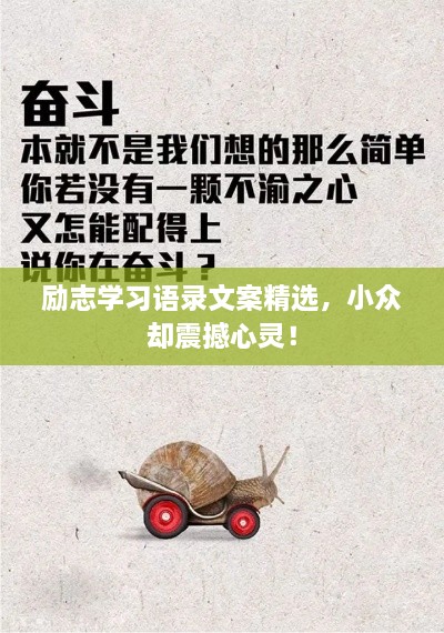 勵(lì)志學(xué)習(xí)語(yǔ)錄文案精選，小眾卻震撼心靈！
