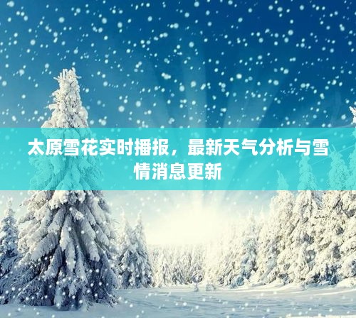 太原雪花實時播報，最新天氣分析與雪情消息更新
