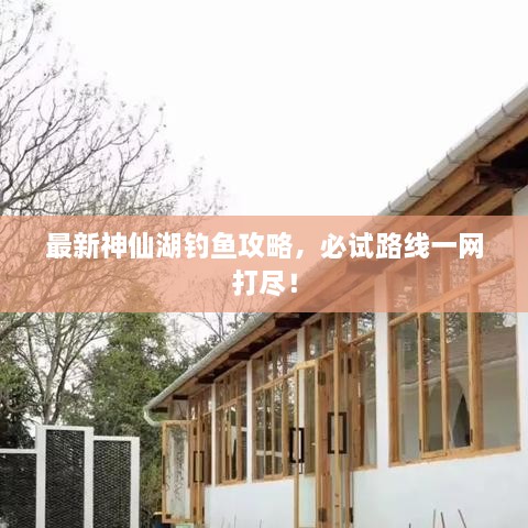 最新神仙湖釣魚攻略，必試路線一網打盡！