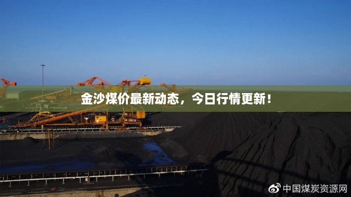 金沙煤價最新動態(tài)，今日行情更新！