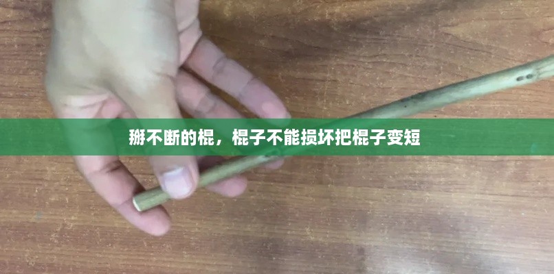 鳥為食亡 第2頁(yè)