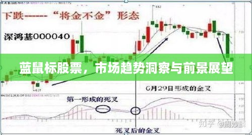 藍(lán)鼠標(biāo)股票，市場(chǎng)趨勢(shì)洞察與前景展望