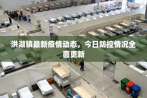 洪湖鎮(zhèn)最新疫情動態(tài)，今日防控情況全面更新