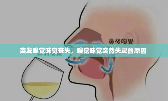 突發(fā)嗅覺味覺喪失，嗅覺味覺突然失靈的原因 