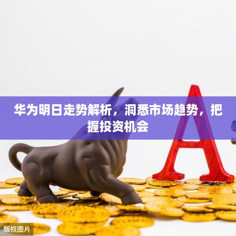華為明日走勢解析，洞悉市場趨勢，把握投資機(jī)會