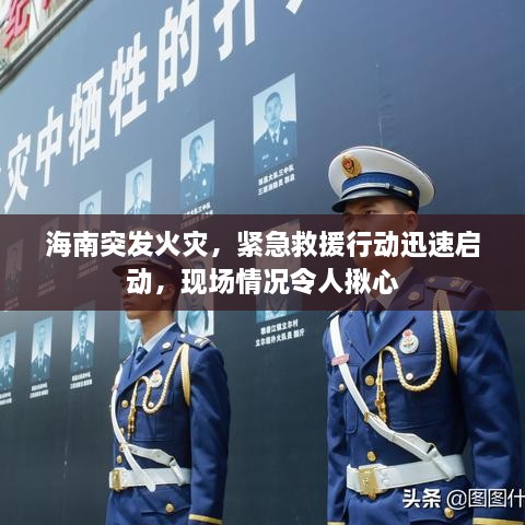海南突發(fā)火災(zāi)，緊急救援行動(dòng)迅速啟動(dòng)，現(xiàn)場(chǎng)情況令人揪心