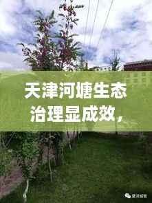 天津河塘生態(tài)治理顯成效，城市面貌煥然一新