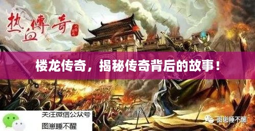 樓龍傳奇，揭秘傳奇背后的故事！