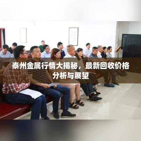 泰州金屬行情大揭秘，最新回收價格分析與展望