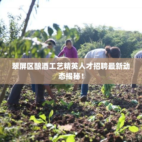 翠屏區(qū)釀酒工藝精英人才招聘最新動(dòng)態(tài)揭秘！