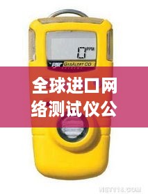 全球進(jìn)口網(wǎng)絡(luò)測(cè)試儀公司排名大揭秘！