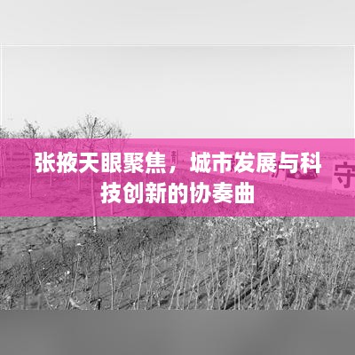 張掖天眼聚焦，城市發(fā)展與科技創(chuàng)新的協(xié)奏曲