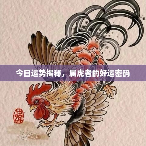 今日運(yùn)勢(shì)揭秘，屬虎者的好運(yùn)密碼