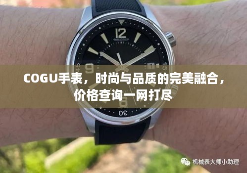 COGU手表，時(shí)尚與品質(zhì)的完美融合，價(jià)格查詢一網(wǎng)打盡