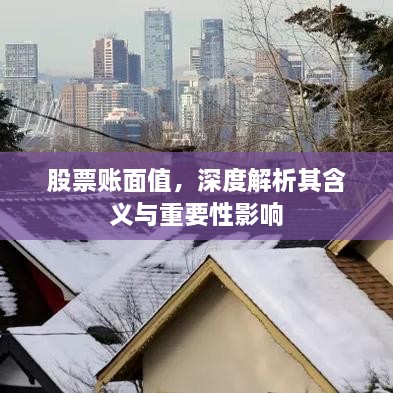 股票賬面值，深度解析其含義與重要性影響