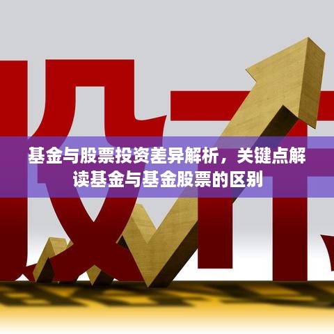 基金與股票投資差異解析，關(guān)鍵點(diǎn)解讀基金與基金股票的區(qū)別