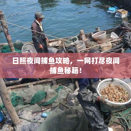 日照夜間捕魚攻略，一網(wǎng)打盡夜間捕魚秘籍！