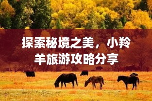探索秘境之美，小羚羊旅游攻略分享