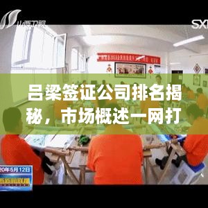 呂梁簽證公司排名揭秘，市場(chǎng)概述一網(wǎng)打盡