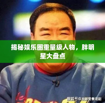 揭秘娛樂圈重量級人物，胖明星大盤點