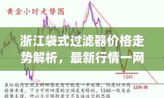浙江袋式過(guò)濾器價(jià)格走勢(shì)解析，最新行情一網(wǎng)打盡！