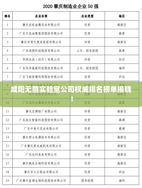 咸陽無菌實驗室公司權(quán)威排名榜單揭曉！