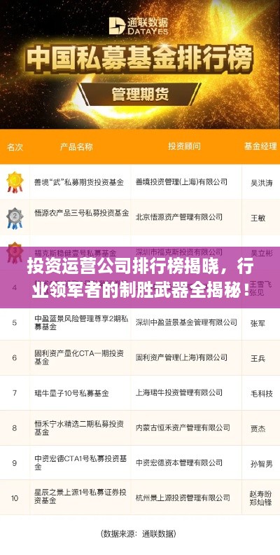 投資運營公司排行榜揭曉，行業(yè)領(lǐng)軍者的制勝武器全揭秘！