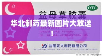 華北制藥最新圖片大放送！