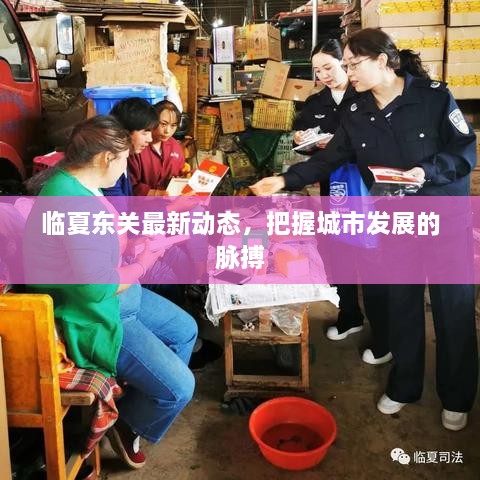 臨夏東關(guān)最新動(dòng)態(tài)，把握城市發(fā)展的脈搏